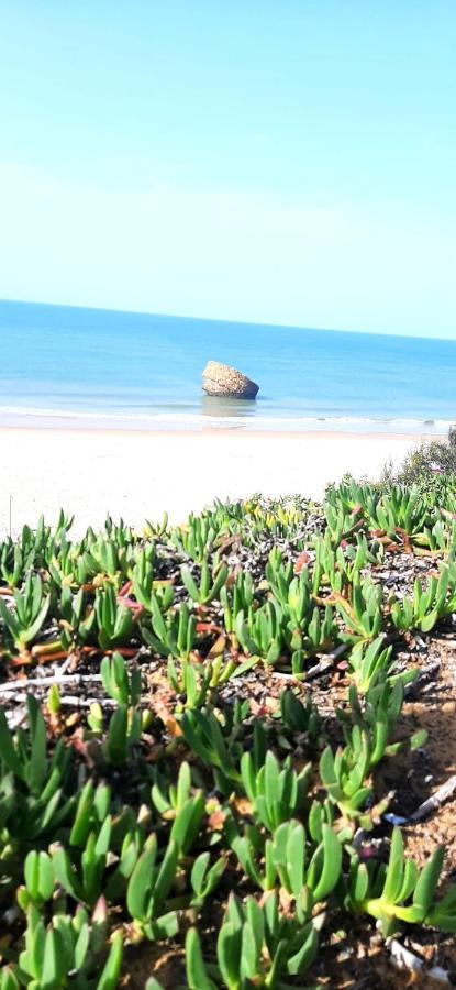 Caracola Beach Matalascañas Esterno foto